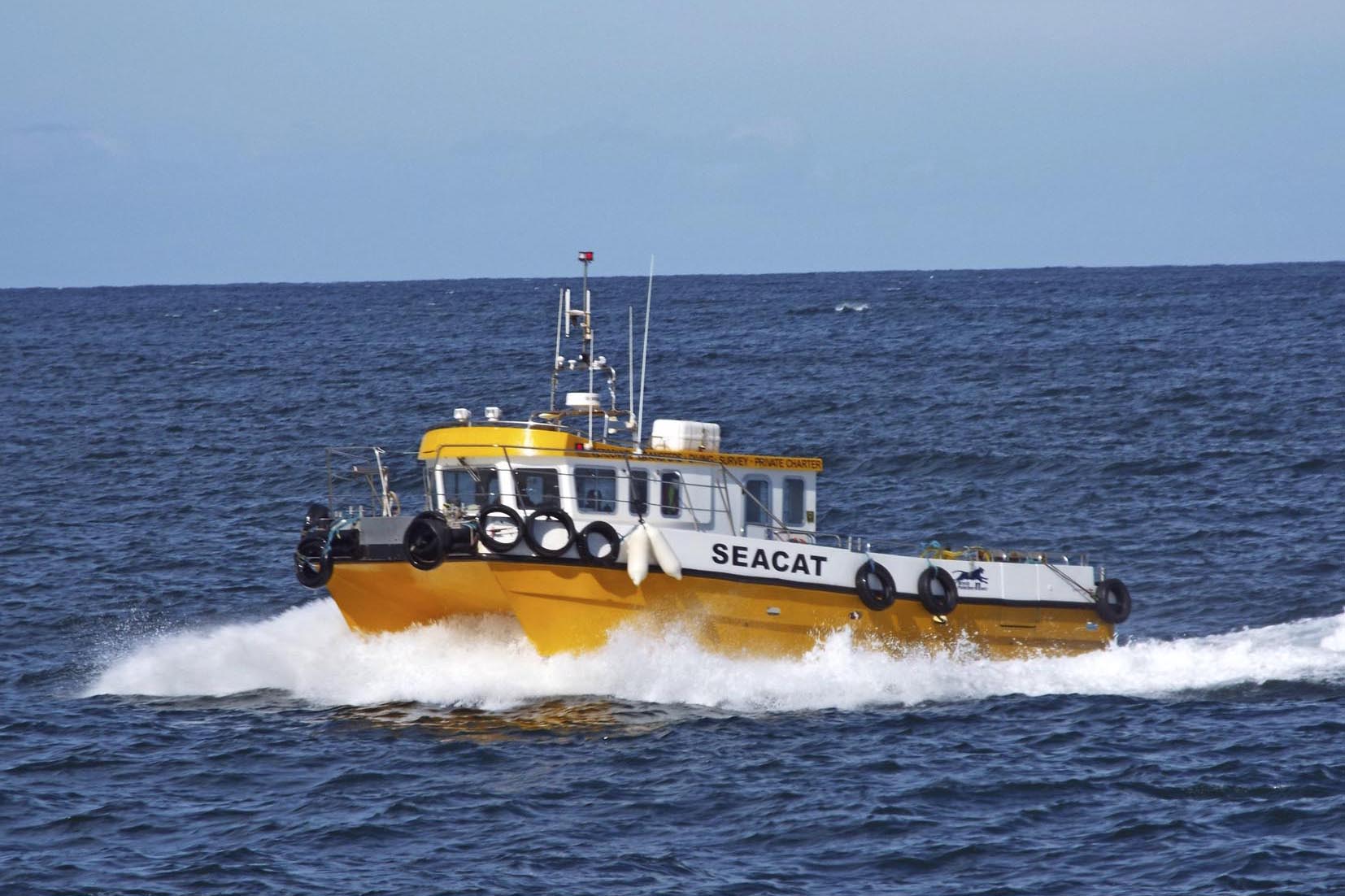 Seacat, based in Macduff