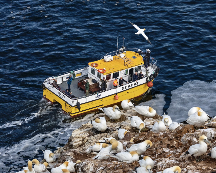 Guide, leaving Macduff